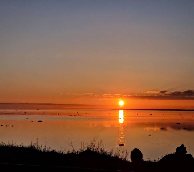 original_cb16f77a-5f9d-42a0-8d55-c5cdbc65d21e_20250527_215953